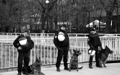 Manifestacja 2013