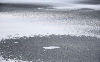 Natura