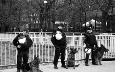 Manifestacja 2013