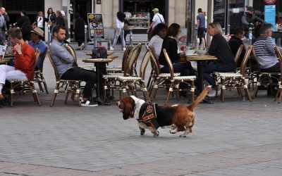 Lille