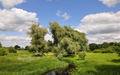 Natura